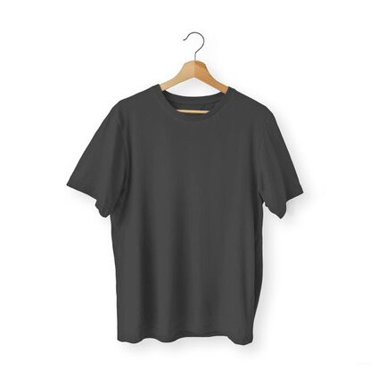 ZR Shirt grau #1